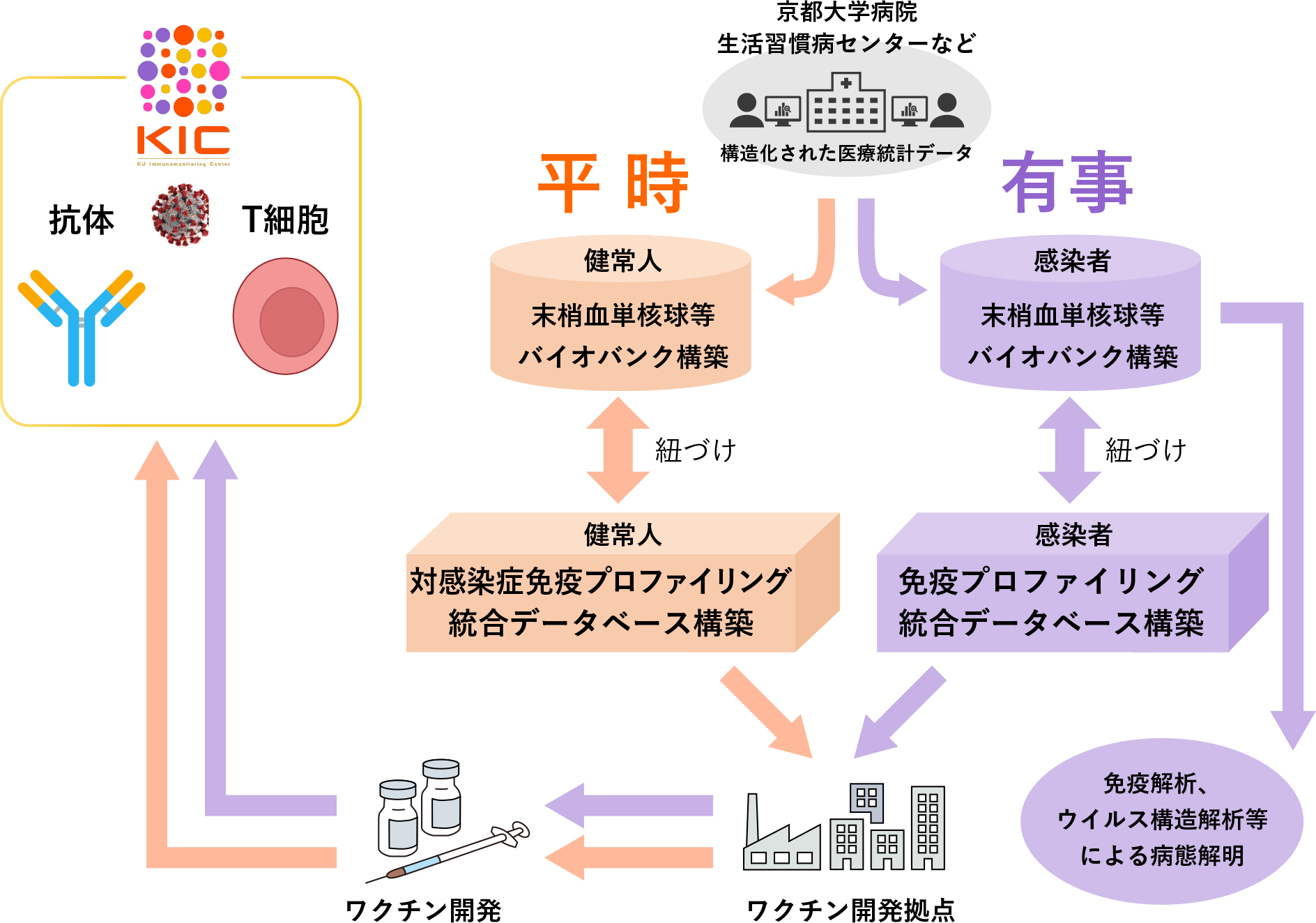 KICの事業における図