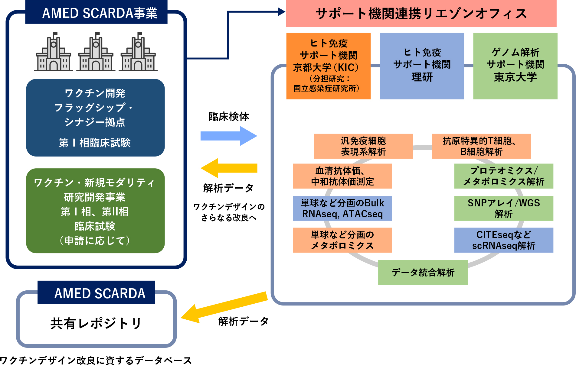 サポート機関連携による免疫システムバイオロジーコンソーシアム